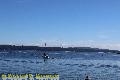 Chemainus Orcas